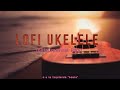 🎧 FREE Ukelele Instrumental Beat / Lofi Ukelele & Bongos / Happy Ukelele Beat / Acoustic Ukelele 🎸