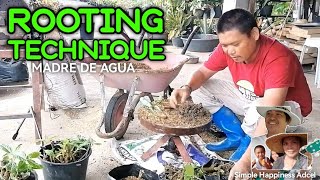 Madre De Agua || Fast and Effective Propagation