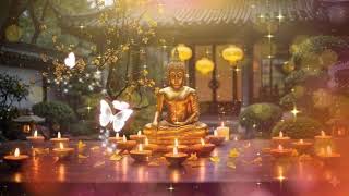 Đàn Tranh Ru Ngủ Đêm Khuya - Ngủ Ngon Sâu Giấc, Hết Lo Âu, Thân Tâm Thường Lạc.