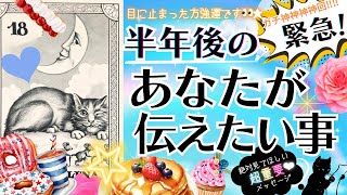 【緊急メッセージ🌈絶対見て👀✨】半年後のあなたから☆超強運☆重要メッセージ☆ガチな結果が出ました♦︎有料鑑定級♦︎