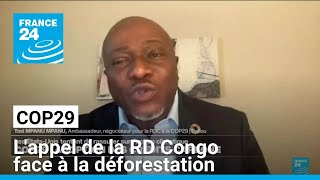 Cop29 : l'appel de la RD Congo face à la déforestation • FRANCE 24