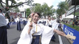 「めごみ-明神林業-」第70回よさこい祭り