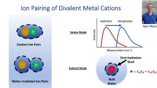 Ion Pairing of Divalent Metal Cations