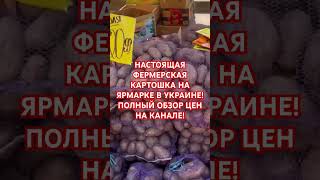 ЦЕНА КАРТОШКИ В УКРАИНЕ СЕЙЧАС! #украина #київ #киев #україна #обзор #ярмарка #базар #рынок