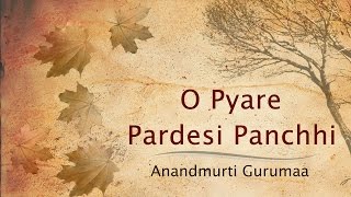 O Pyare Pardesi Panchhi