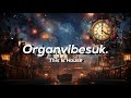 OrganVibesuk New Year House Mix 2024!!