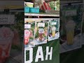 Verandah Kampung Story | Pontian | Johor | Nasi Lemak Berlauk | Frappe Juice | Satay