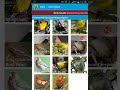 north american birds sounds android app