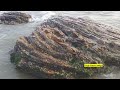 vizag rk beach visakhapatnam beautiful beach view rama krishna beach