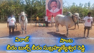 ఉత్తనూర్ న్యూ క్యాటగిరి విభాగం మొదటి జత బీరంబుల్స్ -విరాట్ \u0026 సాంబ.