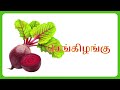 காய்கறிகள் தமிழ் பெயர்கள் learn vegetable names in tamil kidstalestamil kids vegetables