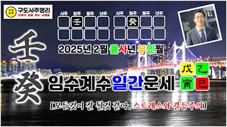 [풀영상] 모든것이 잘될것 같아! 갈등과 스트레스는 주의!  25년 2월(무인월) 임계수일간 운세 #구도사주명리 #신년운세 #월운세 #사주팔자 #임수 #계수