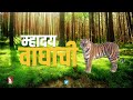 notify mhadei wildlife sanctuary as tiger reserve hc to govt