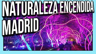 ➡️✅ NATURALEZA ENCENDIDA ⬅️✅ Insectos 🔺🔺 MADRID - ESPAÑA 🔺🔻(“Luces del Jardín botánico”)🔻⚠️