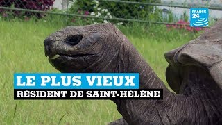 Le plus célèbre résident de Saint-Hélène