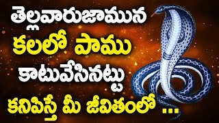 Unknown Facts About Dreams | Early Morning Dreams || కలలో పాము కాటువేసినట్టు   కనిపిస్తే మీ జీవితంలో