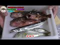 【七里御浜でショアジギング】ショアジギングで青物釣れた 魚種豊富な絶好ポイント