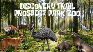 Uncaged Zoo Tours: Discovery Trail| Prospect Park Zoo ft. Dingoes #uncagedzootours