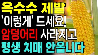 옥수수 제발 이렇게 드세요! 암과 치매를 예방할 수 있습니다!!옥수수 최악의 궁합 세가지와 최고의 궁합 세가지 레시피 공개 !!!! 옥수수와 좋은 음식! #옥수수효능 #옥수수