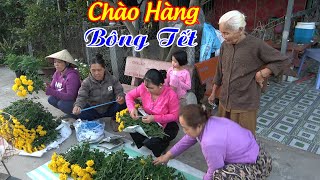 Tuyển Đám Bông Nhà Trồng Chuẩn Bị Tết Bán Vào Ngày Rằm Tháng Chạp\\DDĐQ#883