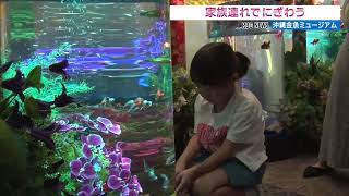 優雅に泳ぐ色とりどりの金魚で幻想的な空間広がる　沖縄金魚ミュージアム