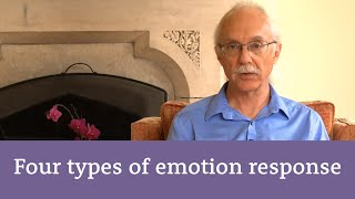 Different kinds of emotional responses in EFT