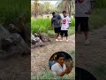 😱Try Not to Laugh Chelleng part 1🤣  #funny #viral #shorts #viralvideo