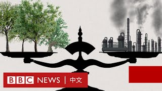 「碳抵消」是一個怎樣的概念？它可以如何幫助地球？－ BBC News 中文