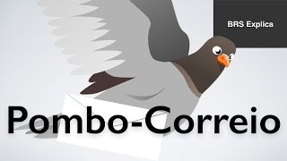 Pombo Correio - História e Curiosidades