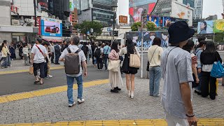 【高画質FHDライブカメラ】渋谷スクランブル交差点　定点カメラ　Shibuya scramble crossing fixed point【live camera】