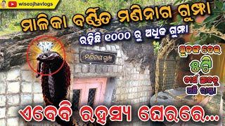 MANINAGA GUMPHA | ମଣିନାଗ ଗୁମ୍ଫା । ମାଳିକା ବଣ୍ଣିତ ଜୋଳକା ପାହାଡ । Jalauka Hill | Mani Nag Cave 🐍