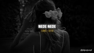 Nede Nede trending lofi song 💕✨🎧 | (Slowed+Reverb) | by @ReverBaeyt