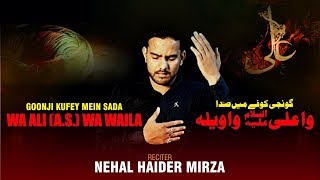 Wa Ali (a.s.) Wa Waila  |  21 Ramzan  |  Nehal Haider Mirza