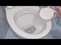 Utilizza questo prodotto per pulire il tuo WC | MAMMASTYLE.IT |