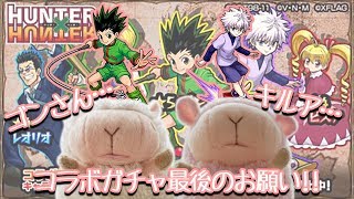 【モンスト】ハンターハンターコラボガチャ ゴン・キルア確率アップを回してみた!【これで最後!!】