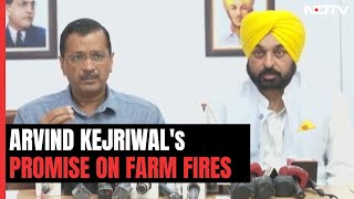 Arvind Kejriwal: "Stubble Burning Incidents Will Come Down From Next Year"