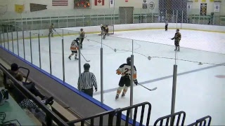 NJP: G25 U18 Troy Sting vs. Skokie Flyers