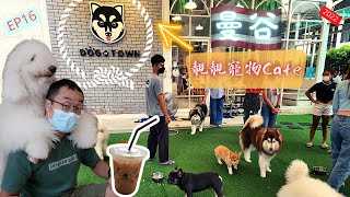 【泰國 曼谷 】可愛寵物Cafe｜Dog In Town｜大狗細狗都有｜2022｜廣東話｜EP16｜