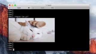 iTerm2 imgls \u0026 imgcat