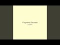 Fragments Cascade