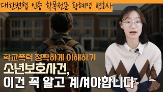 소년보호사건의 기본 개념! 이건 꼭 알고 계셔야합니다!ㅣ학교폭력전문변호사 황혜영 변호사가 알려드립니다