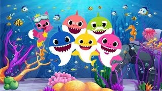 Baby Shark Song | Nursery rhymes -  Children Songs 3D Animation