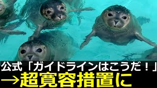 アザラシ幼稚園、ガイドライン策定で治安改善に乗り出してしまう