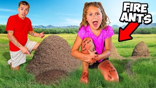 LANI GOT STUNG BY FIRE ANTS!
