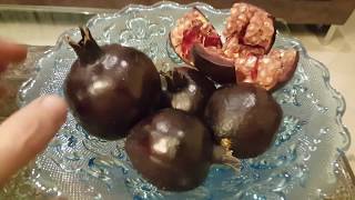 Black Pomegranate an Iranian Variety انار سیاه