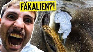 Everything full of SH*T!💩 Search for FORGOTTEN RIVER goes wrong!