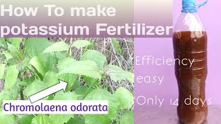 How To Make Potassium Fertilizer At Home /Easy &Free