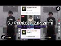 DJ PEDRO PEDRO X ZENYETE VIRAL TIK TOK TERBARU 2024!!