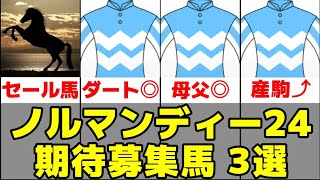 【ノルマンディーOC】2024年度期待の募集馬3選【シルクヴェルサイユ23/ブレイジング23】