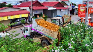 Start New Project Landfill fight forestry Flooded soil !! Bulldozer Komat'Su D20p Push Stone ,Truck